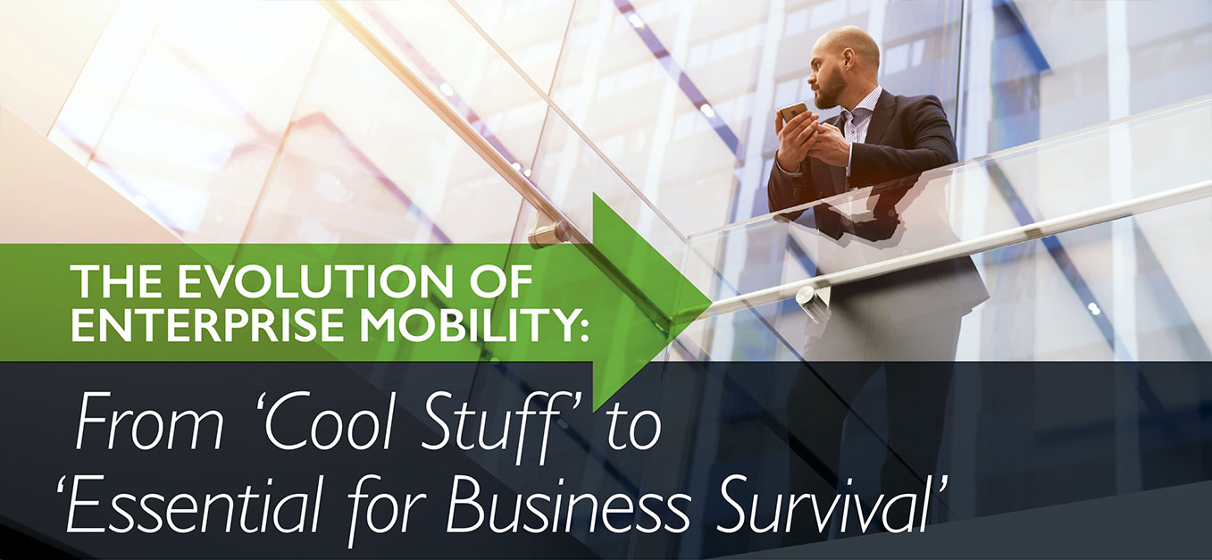 From Cool Stuff to Essential for Business Survival From Cool Stuff to Essential for Business Survival